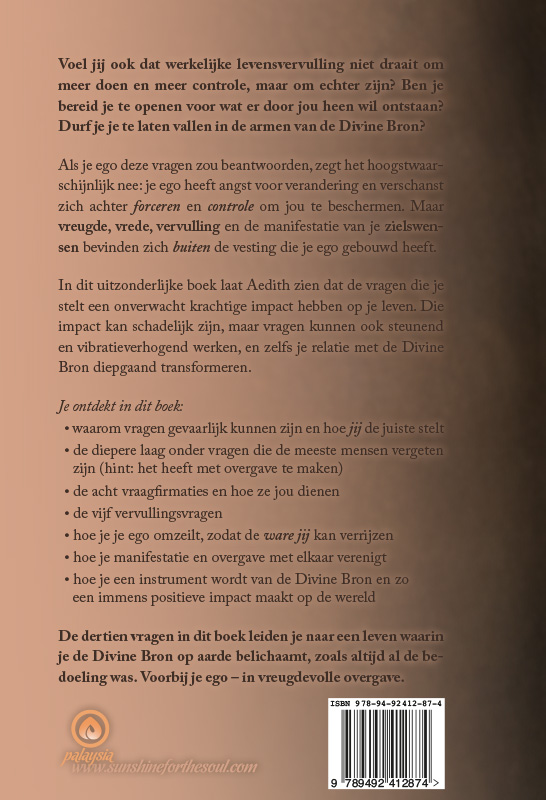 image for Dertien vragen