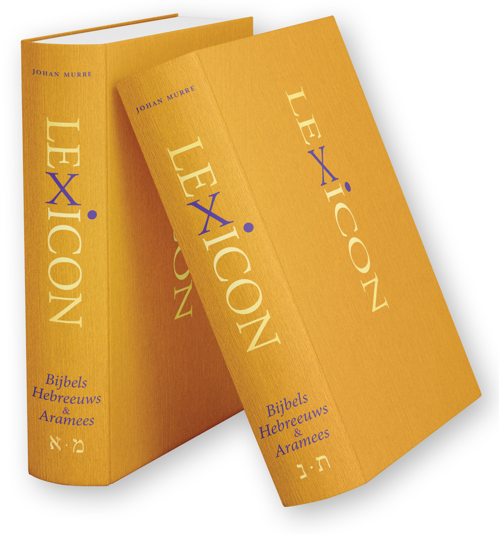 Lexicon Bijbels Hebreeuws  & Aramees (2-delig) Woordenboek Hebreeuws-Nederlands