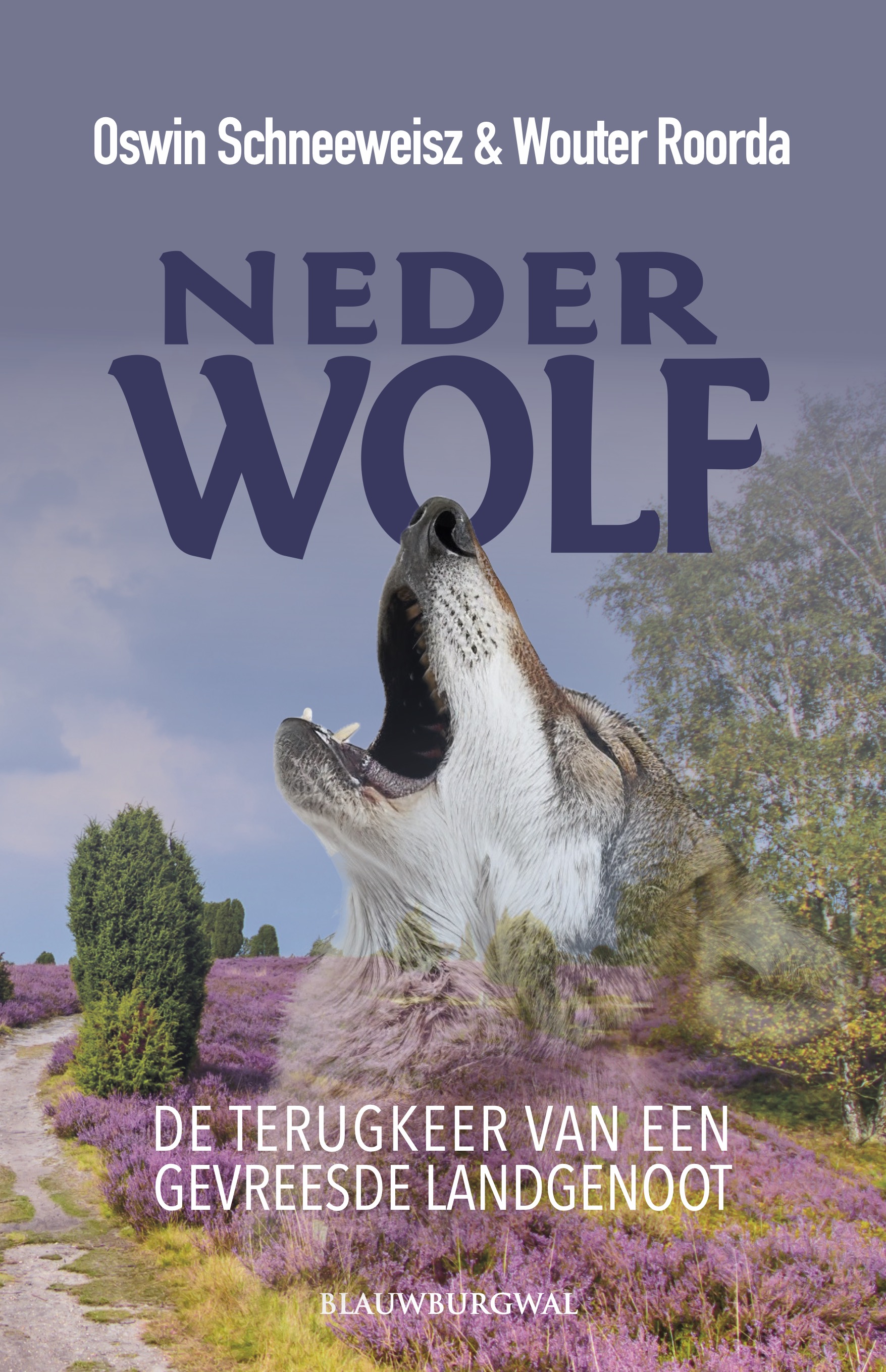Nederwolf De terugkeer van een gevreesde landgenoot