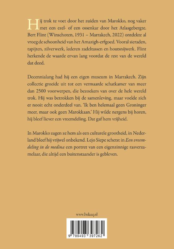 image for Een vreemdeling in de medina