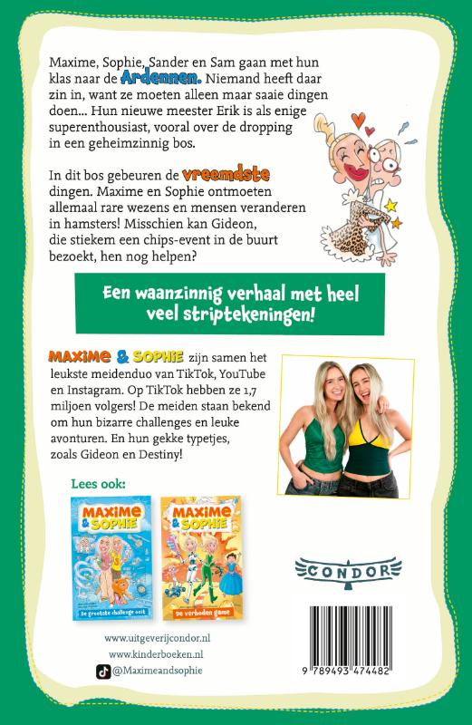 image for Het geheime bos